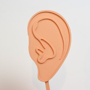 Ear Cake topper ear gift Audiologist gift Audiology party ENT gift ENT graduation retirement Doctor cake topper Medical party ear party
