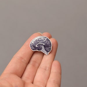 Brain pin, Anatomical human brain, Anatomical brain brooch, Neurologist pin, Neurologist, Neurology Jewelry, hand made, neurologist gift