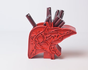 May include: A red 3D printed pen holder shaped like a human liver with intricate vascular details. The holder is filled with pens.