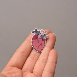 Anatomical Human Heart pin, heart brooch, human heart jewelry, Doctor pin, Medical, Medical earrings, Anatomy jewelry, Anatomical pin, heart