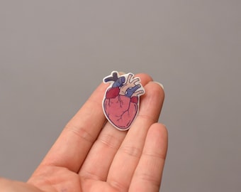 Anatomical Human Heart pin, heart brooch, human heart jewelry, Doctor pin, Medical, Medical earrings, Anatomy jewelry, Anatomical pin, heart