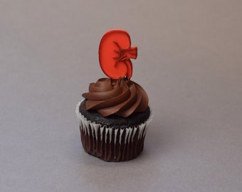 Kidney Cupcake toppers, organ cupcake topper, Doctor, Medical cupcake toppers, Doctor party decor, kidney doctor, Nephrologist, kidneys
