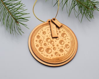 Wood Petri dish pen holder Petri dish gift lab gift science pen holder Microbiology decor lab tech gift decoration Medical gift