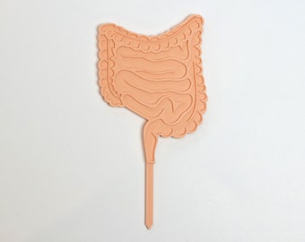 Intestine Cake topper Intestine gift Digestive Gastrointestinal Anatomical gastroenterologist gift party gastroenterology intestine decor