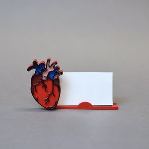 Anatomical Human Heart business card holder, heart decor, Doctor, Medical, Medical pen holder, Anatomy, Hand painted, heart doctor