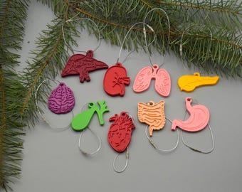 May include: A collection of colorful, anatomical organ ornaments, including a brain, liver, lungs, heart, and stomach. Each ornament is suspended by a silver string, and the arrangement is set against a gray background with a pine branch.