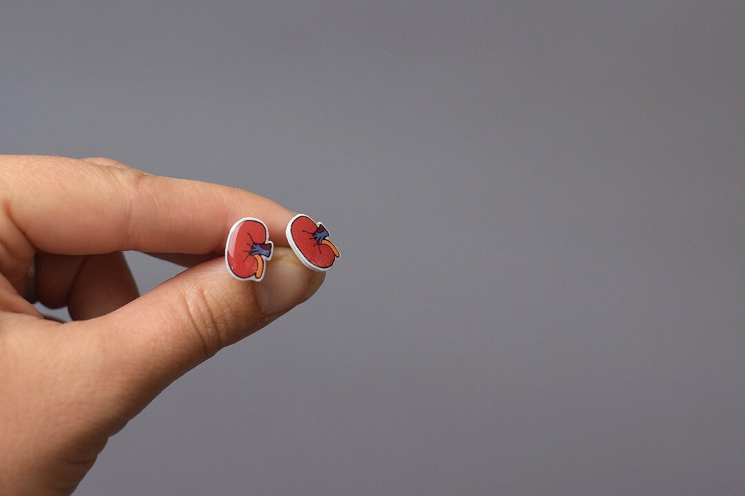 Kidney Stud Earrings, Kidney Earrings, Dialysis, Dialysis Technician
