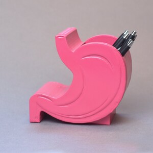 Stomach Pen Holder, Stomach Gift, Stomach Cancer, Gastroenterologist