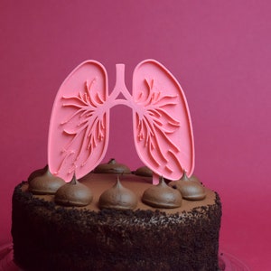 Lung Cake topper Respiratory Lungs gift organ cake topper Respiratory therapy therapist Doctor RT lung Medical transplant celebration gift