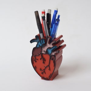 Anatomical Human Heart Pen holder, heart decor, Doctor, Medical, Science, Medical pen holder, Anatomy, Hand painted