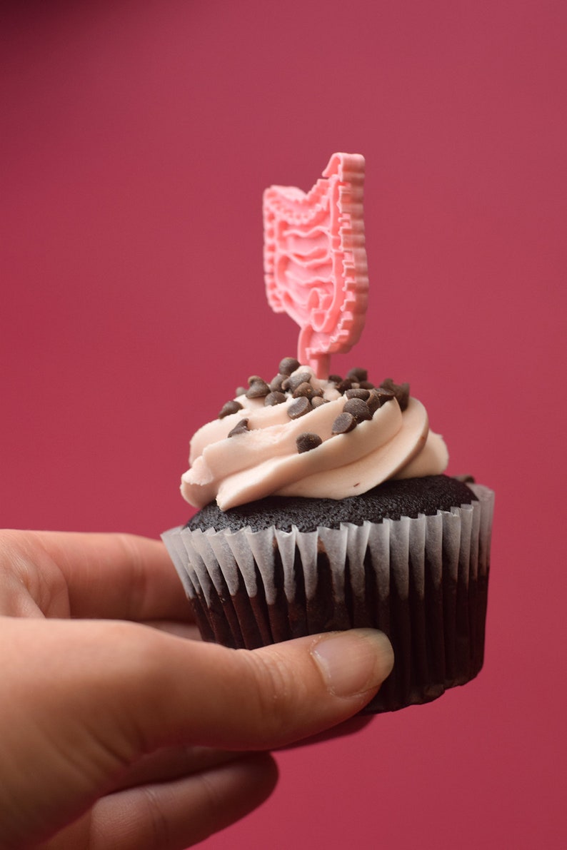 Darm Cupcake Topper, Darm, Verdauung, Magen-Darm-Anatomie, Gastroenterologen, Gastroenterologie Party Darm Geschenk Bild 8