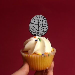 Gray Brain cupcake toppers Neurologist Neuro, Brain Neurology brain decor Doctor Medical party cancer Medical pen holder Anatomy gift