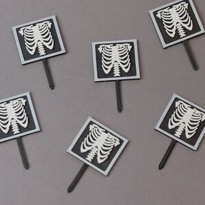 X-ray cupcake toppers, skeleton cupcake topper, radiologist gift, radiology, medical cupcake topper, X-ray gift, Radiologist party, bones image 5