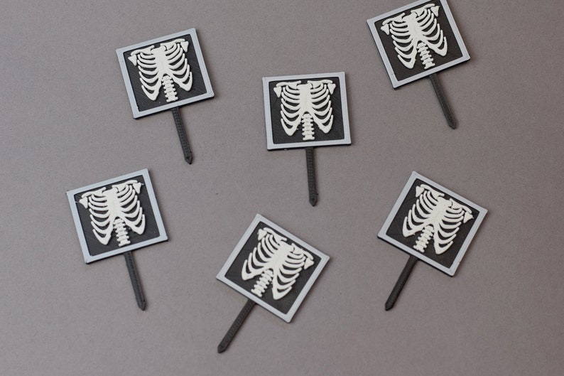 X-ray cupcake toppers, skeleton cupcake topper, radiologist gift, radiology, medical cupcake topper, X-ray gift, Radiologist party, bones image 5