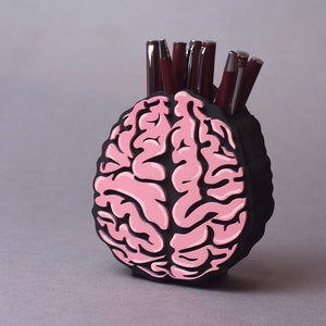 Hand Painted Brain Pen Holder: Medical Office Decor