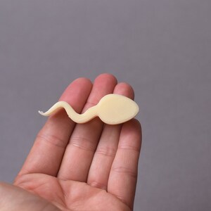 Puede incluir: Un modelo de espermatozoide impreso en 3D, de color beige claro, sostenido en la mano de una persona.