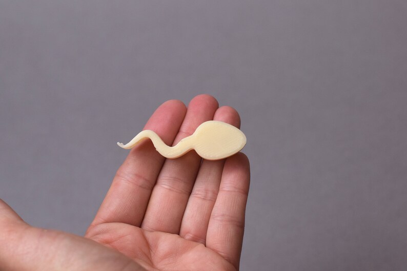 Puede incluir: Un modelo de espermatozoide impreso en 3D, de color beige claro, sostenido en la mano de una persona.