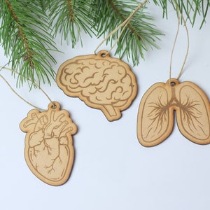 Organ mini ornament set Neurologist, Neuro, Brain, Neurology gift, heart ornament lung ornament, Medical ornament, Anatomy ornament
