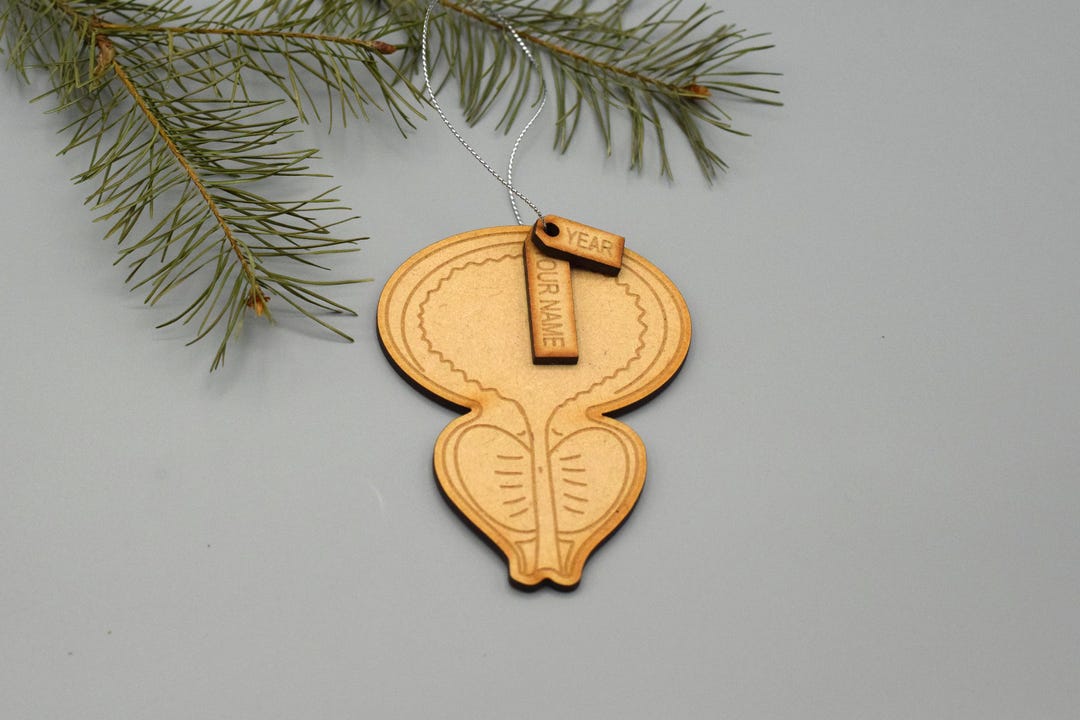 Prostate Doctor Gift Wooden Prostate Ornament, Cancer Gift - Etsy