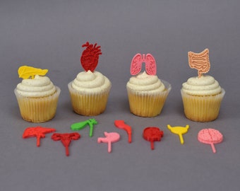 May include: Four cupcakes decorated with various colorful anatomical organ toppers. The toppers include a heart, lungs, intestines, and a kidney. There are also additional organ toppers on the table, including a brain, uterus, stomach, and a bladder.