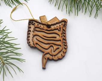 Wood Intestine ornament Intestine gift Gastrointestinal ornament Colon ornament gastroenterologist large intestine Medical gift
