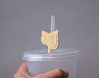 Intestine Straw topper, Intestine, Digestive, Gastrointestinal, Anatomical, gastroenterologist, gastroenterology party intestine gift, gut