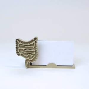 Digestive business card holder, Intestine card holder, Gastrointestinal decor, Colon card holder, gastroenterologist, large intestine
