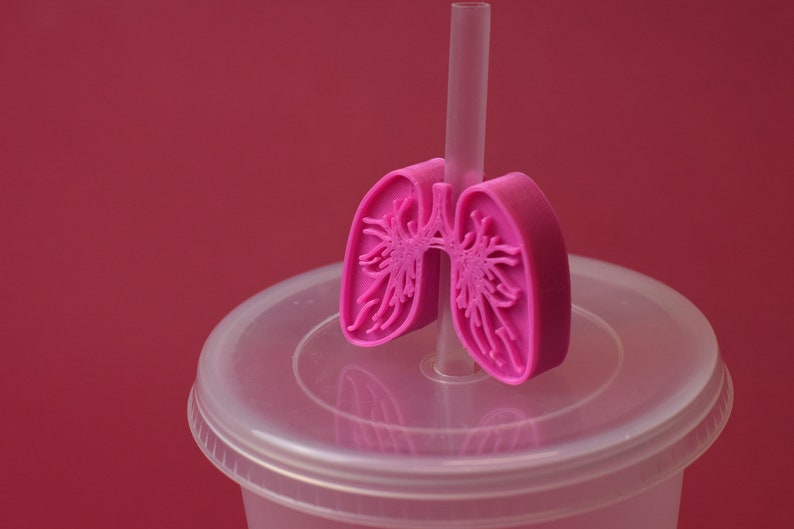 Lung Straw Topper Respiratory Lungs Gift Organ Straw Etsy
