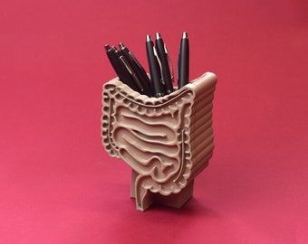 Intestine pen holder, Digestive gift, Gastrointestinal decor, Colon Gift, gastroenterologist, large intestine, Colon decor,  Medical gift