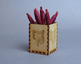 Wood Intestine pen holder, Digestive gift, Gastrointestinal decor, Colon Gift, gastroenterologist, large intestine, Colon decor Medical gift