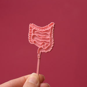 Darm Cupcake Topper, Darm, Verdauung, Magen-Darm-Anatomie, Gastroenterologen, Gastroenterologie Party Darm Geschenk Bild 3