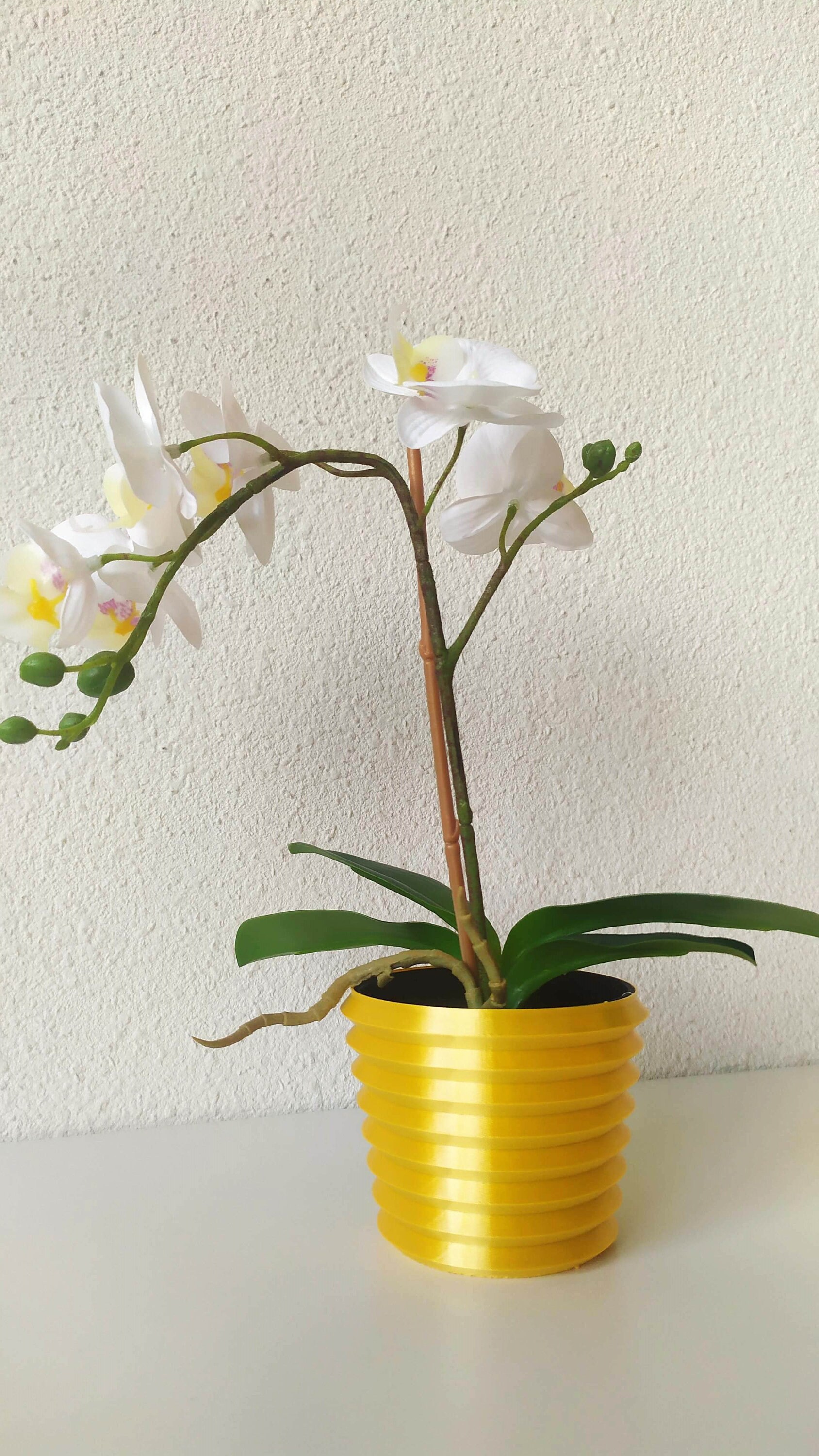 2 Cache Pot Hertz Artisanal et Fabriqué en Polymère Biodégradable Idéal Pour Idée Cadeau Anniversair