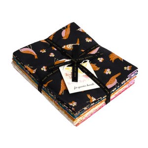 Bird Is The Word, designed by Kimberly Kight for Ruby Star Society, 26 skus Rs3076fq