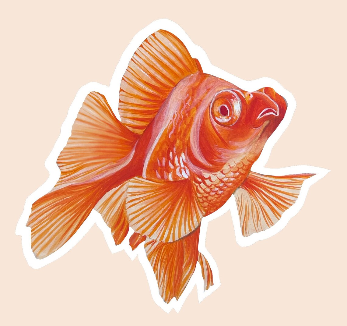 Goldfish glossy stickers | Etsy