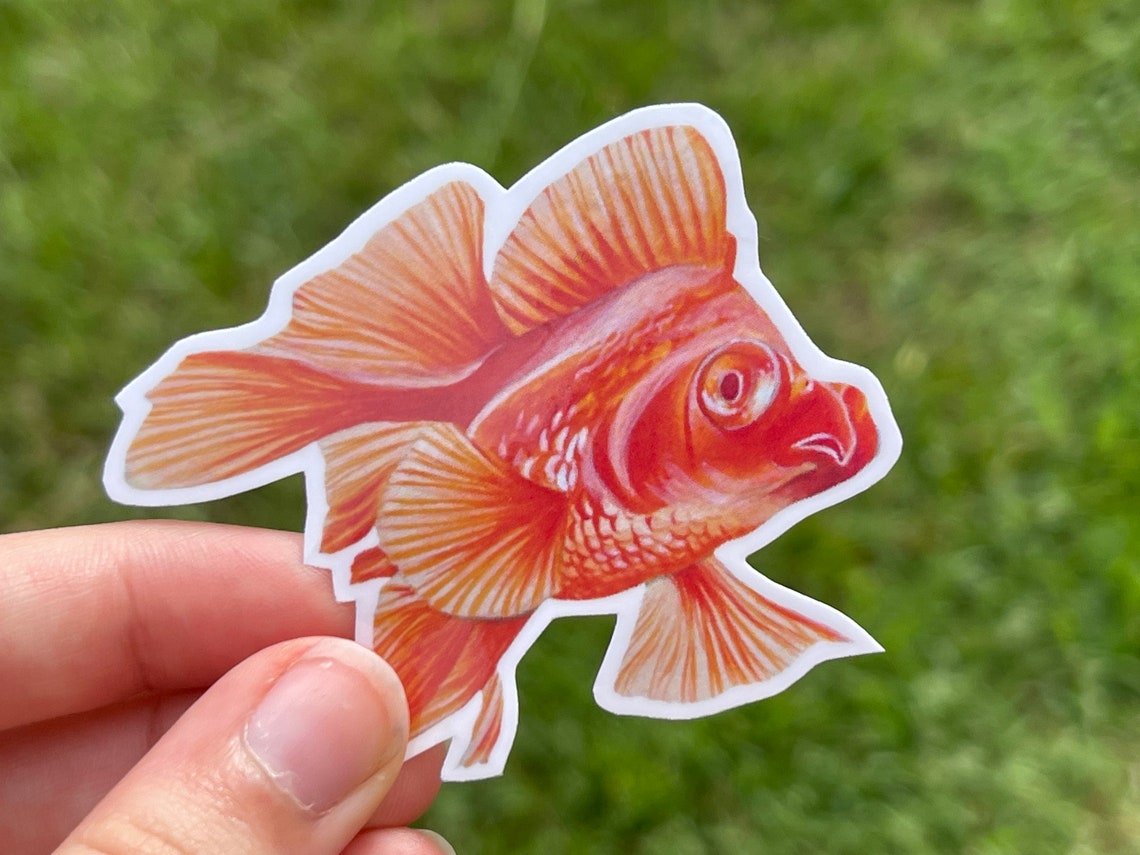 Goldfish Glossy Stickers - Etsy