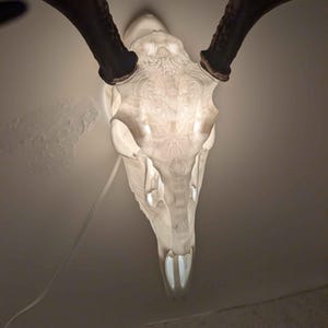 May include: A white deer skull-shaped light fixture with intricate carved details. The skull has dark brown antlers and is illuminated from within, creating a soft glow. A white power cord extends from the fixture.