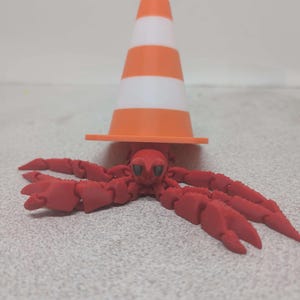 Hermit Crab, Cute Desk Buddy & Shelf Decor