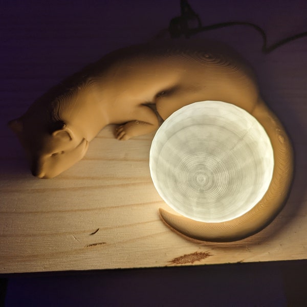 Ferret Lamp
