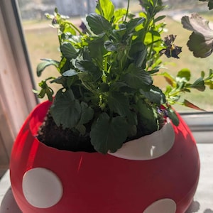 Puede incluir: Una maceta redonda roja con detalles circulares blancos, llena de tierra y plantas verdes vibrantes con flores moradas. La maceta está sobre un alféizar, con vistas al exterior.