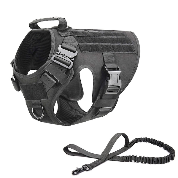 Bravo Tactical Dog Harness & Leash for Hiking, Camping and Overlanding