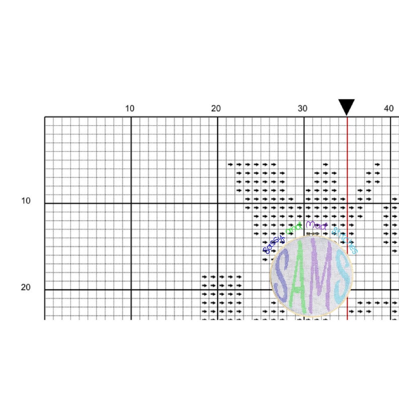 May include: A white circle with the name "SAMS" written in colorful letters. The letters are in a rainbow color scheme. The circle is on a grid background with black arrows.