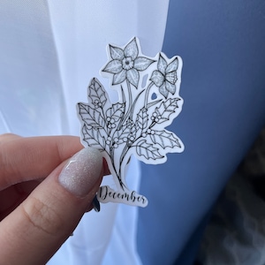 May include: A clear sticker featuring a black and white floral design with the word "December". The sticker depicts two daffodils, holly leaves, and berries. The sticker is held against a white and blue background.