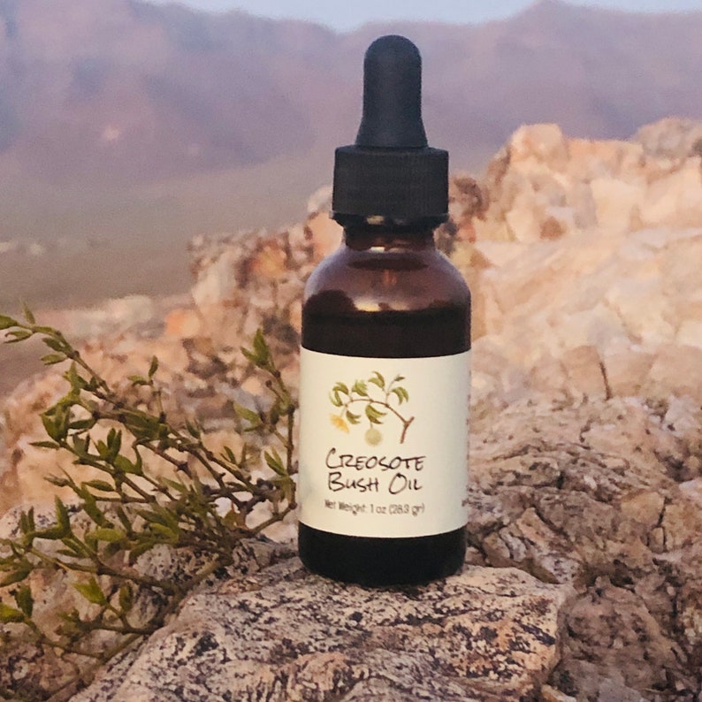 Creosote Oil // Greasewood // Desert Chaparral Herbal Infusion FREE Bonus Lip Balm image 1