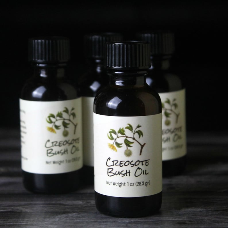 Creosote Oil // Greasewood // Desert Chaparral Herbal Infusion FREE Bonus Lip Balm image 3