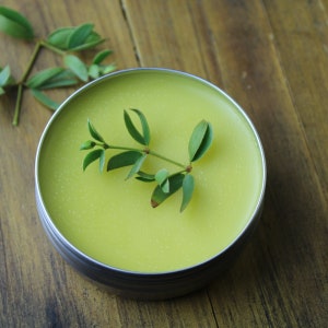Creosote (Desert Chaparral) Salve | 2 oz. Tin + Bonus Lip Balm