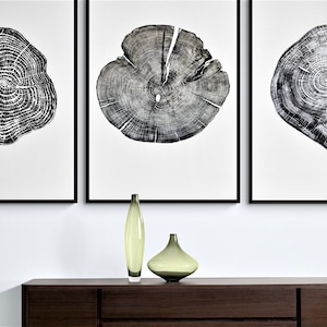 Set Of 3 Linocut Wood Prints, Black And White Print Set Of 3, Tree Ring Print Set, 3 Piece Botanical Wall Art, Woodblock Print, 3 Panel Art