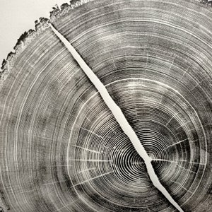 Two centuries old tree ring print, Wood grain art print, Wall art 5th anniversary gift
