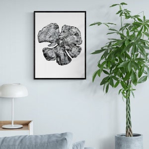 Träsnitt av enbärsträdsring, handgjord svartvit botanisk konst, minimalistisk väggdekoration av natur 18x24 bild 1