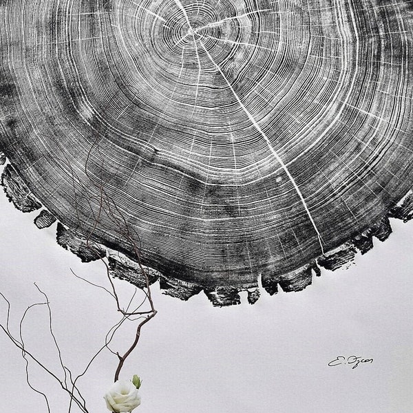 Frêne de 210 ans, impression d'art de bague d'arbre, impression de souche de bois