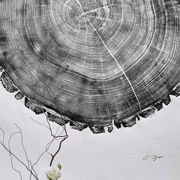 Tree Ring Art Etsy